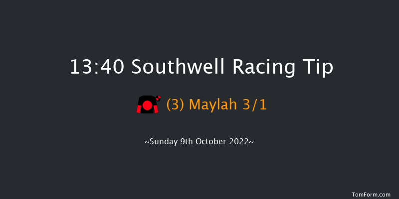 Southwell 13:40 Handicap (Class 6) 8f Tue 4th Oct 2022