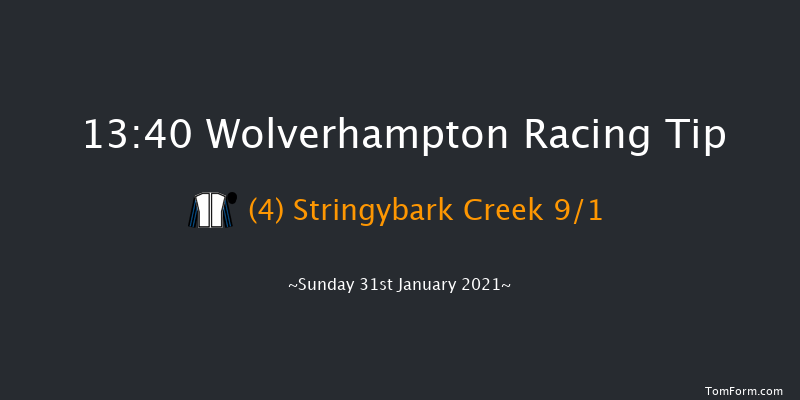 Bombardier British-Hopped Amber Beer Handicap Wolverhampton 13:40 Handicap (Class 5) 9f Fri 29th Jan 2021