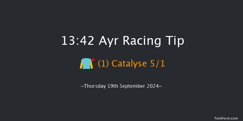 Ayr  13:42 Stakes (Class 4) 7f Mon 15th Jul 2024