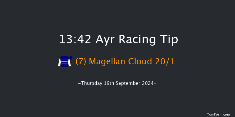 Ayr  13:42 Stakes (Class 4) 7f Mon 15th Jul 2024