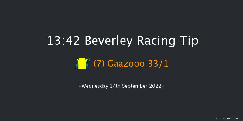 Beverley 13:42 Stakes (Class 6) 8f Sun 28th Aug 2022