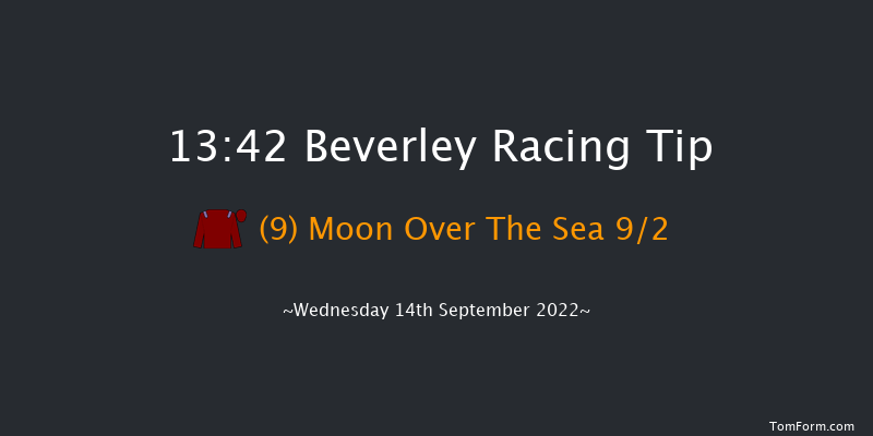 Beverley 13:42 Stakes (Class 6) 8f Sun 28th Aug 2022