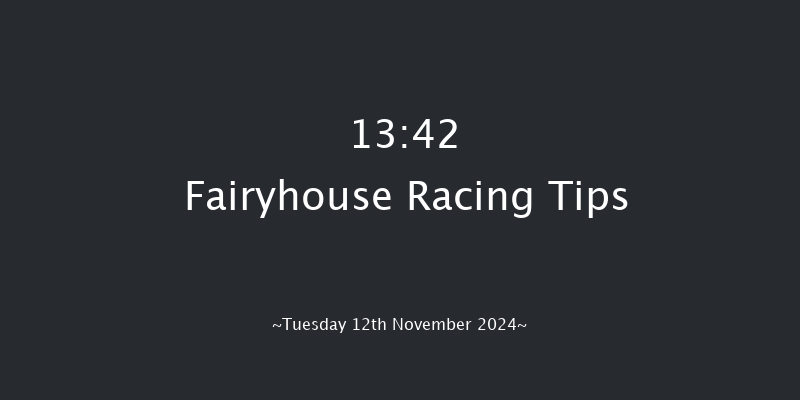 Fairyhouse  13:42 Maiden Chase 20f Tue 5th Nov 2024