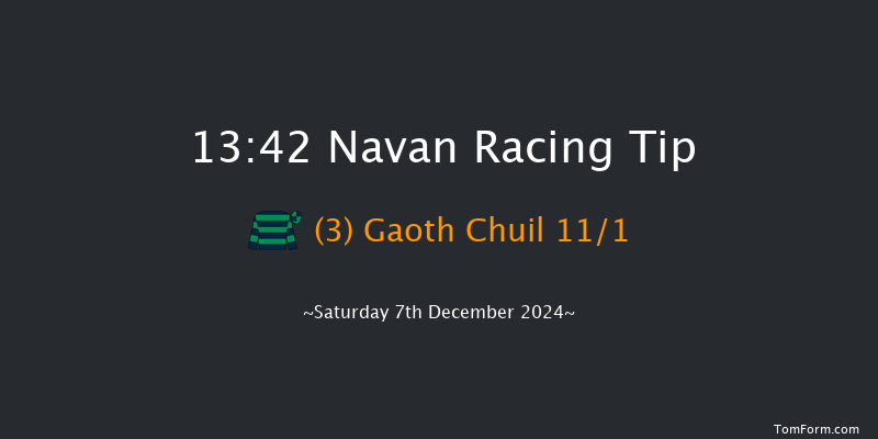 Navan  13:42 Handicap Hurdle 25f Sun 17th Nov 2024