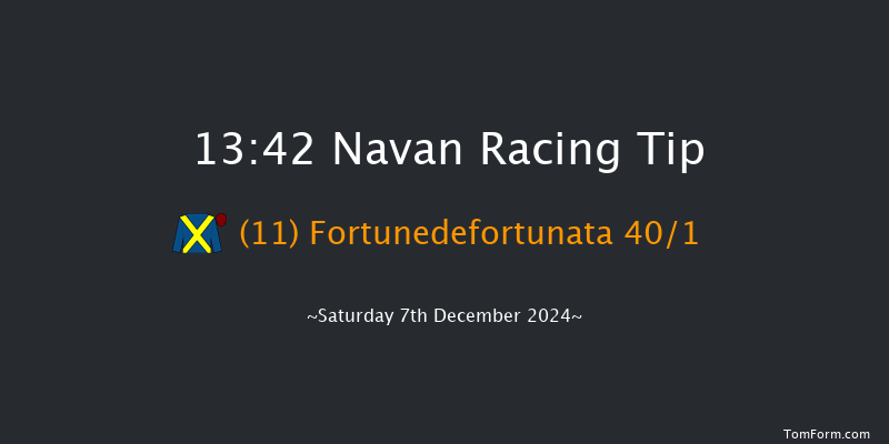 Navan  13:42 Handicap Hurdle 25f Sun 17th Nov 2024