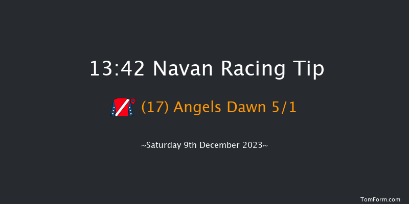 Navan 13:42 Handicap Hurdle 25f Sun 19th Nov 2023