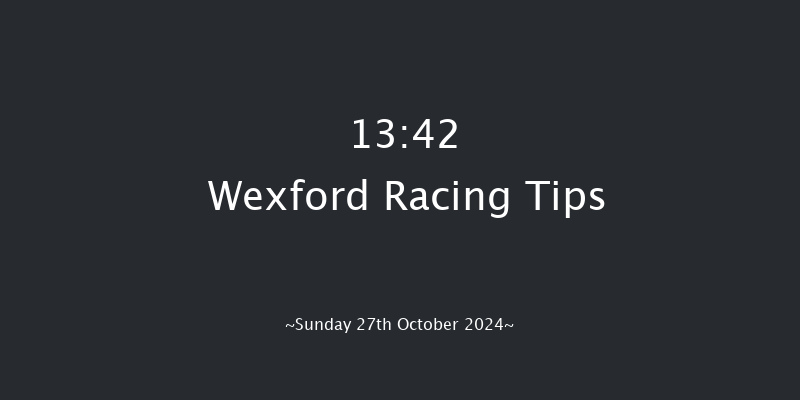 Wexford  13:42 Handicap Chase 20f Fri 30th Aug 2024