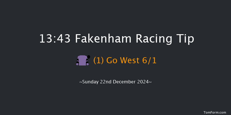 Fakenham  13:43 Maiden Hurdle (Class 4) 20f Tue 19th Nov 2024