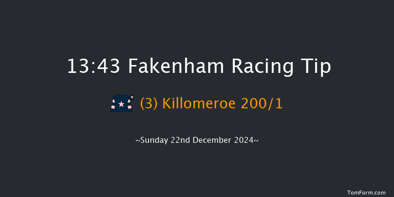 Fakenham  13:43 Maiden Hurdle (Class 4) 20f Tue 19th Nov 2024