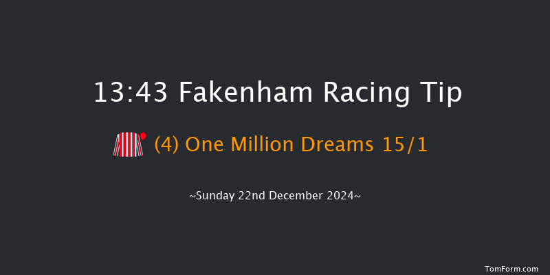 Fakenham  13:43 Maiden Hurdle (Class 4) 20f Tue 19th Nov 2024