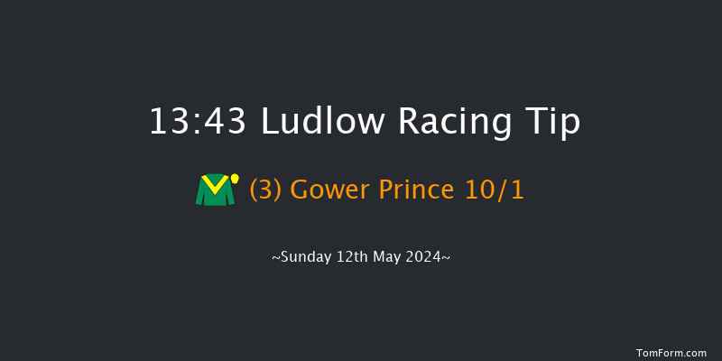 Ludlow  13:43 Handicap Chase (Class 3) 16f Wed 24th Apr 2024