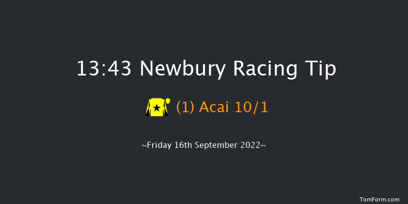 Newbury 13:43 Maiden (Class 4) 6f Fri 19th Aug 2022