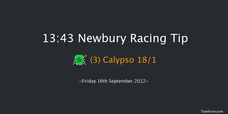 Newbury 13:43 Maiden (Class 4) 6f Fri 19th Aug 2022