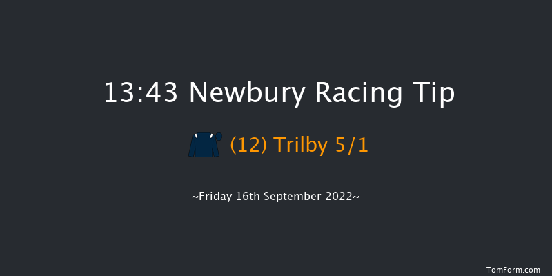 Newbury 13:43 Maiden (Class 4) 6f Fri 19th Aug 2022