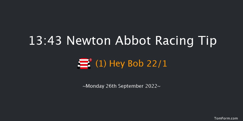 Newton Abbot 13:43 Handicap Hurdle (Class 5) 18f Fri 16th Sep 2022