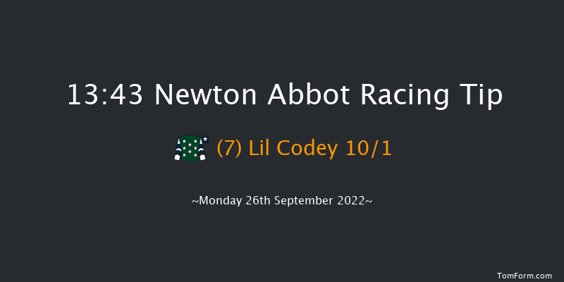 Newton Abbot 13:43 Handicap Hurdle (Class 5) 18f Fri 16th Sep 2022