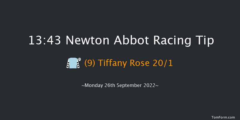 Newton Abbot 13:43 Handicap Hurdle (Class 5) 18f Fri 16th Sep 2022