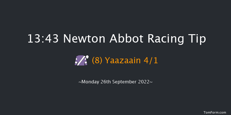 Newton Abbot 13:43 Handicap Hurdle (Class 5) 18f Fri 16th Sep 2022