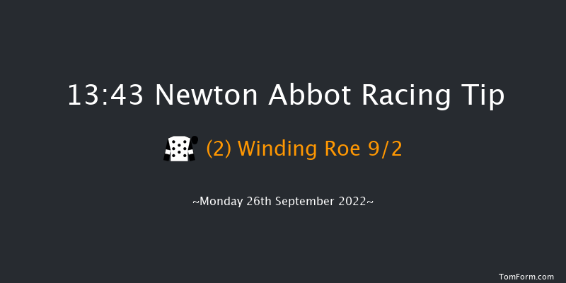 Newton Abbot 13:43 Handicap Hurdle (Class 5) 18f Fri 16th Sep 2022