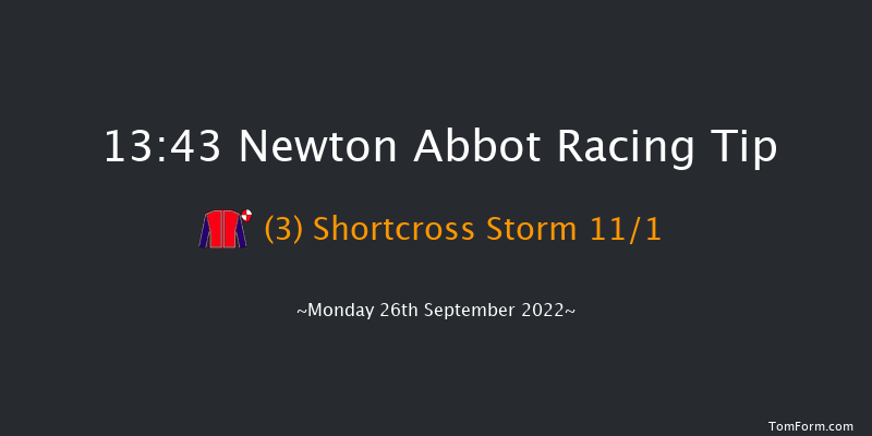 Newton Abbot 13:43 Handicap Hurdle (Class 5) 18f Fri 16th Sep 2022