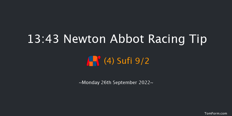 Newton Abbot 13:43 Handicap Hurdle (Class 5) 18f Fri 16th Sep 2022