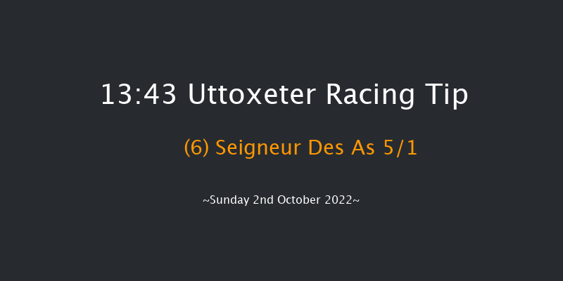 Uttoxeter 13:43 Maiden Hurdle (Class 4) 20f Tue 13th Sep 2022