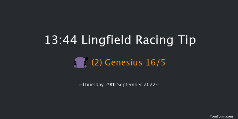 Lingfield 13:44 Handicap (Class 5) 12f Tue 20th Sep 2022