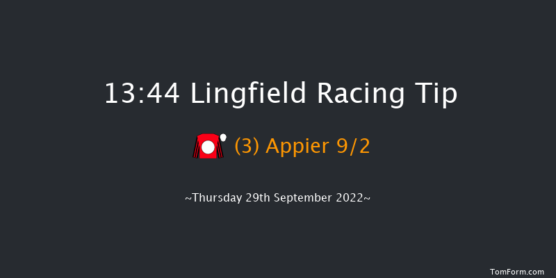 Lingfield 13:44 Handicap (Class 5) 12f Tue 20th Sep 2022