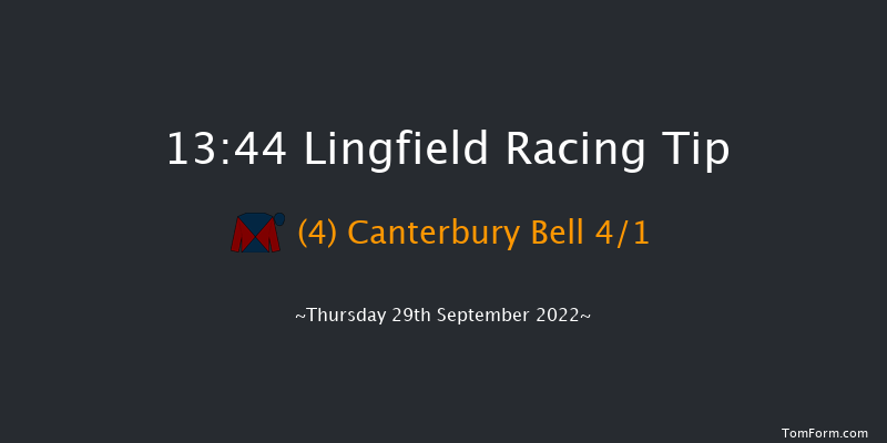 Lingfield 13:44 Handicap (Class 5) 12f Tue 20th Sep 2022