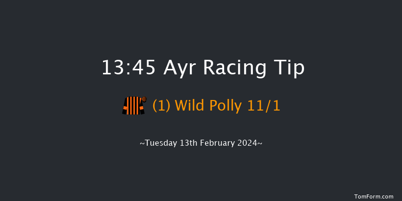 Ayr  13:45 Handicap Hurdle (Class 5) 20f Tue 2nd Jan 2024