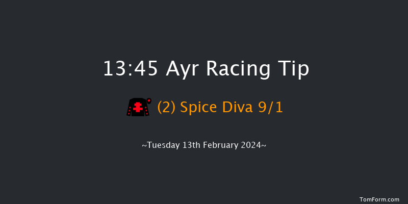 Ayr  13:45 Handicap Hurdle (Class 5) 20f Tue 2nd Jan 2024