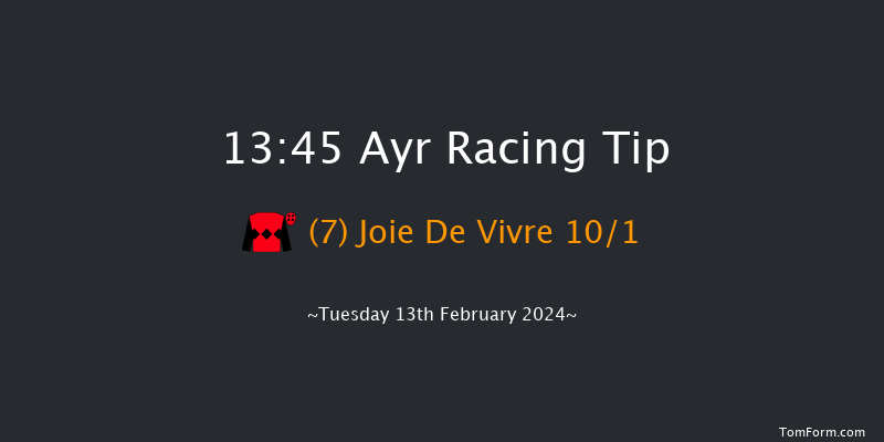 Ayr  13:45 Handicap Hurdle (Class 5) 20f Tue 2nd Jan 2024