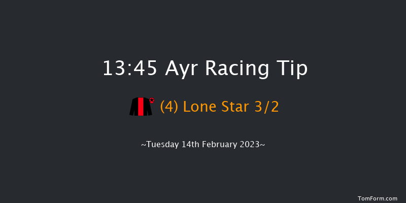 Ayr 13:45 Handicap Hurdle (Class 5) 20f Wed 1st Feb 2023