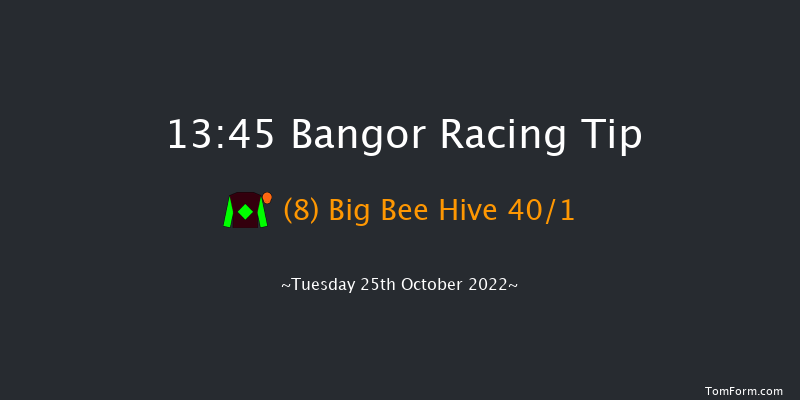 Bangor 13:45 Handicap Chase (Class 5) 
17f Wed 28th Sep 2022