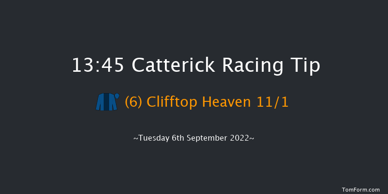 Catterick 13:45 Handicap (Class 5) 16f Wed 24th Aug 2022