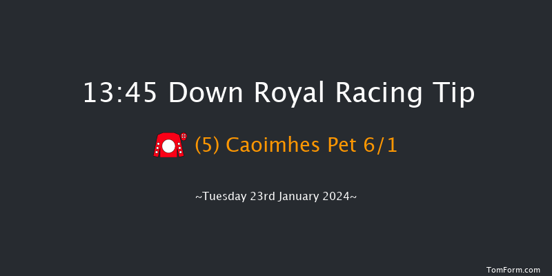 Down Royal  13:45 Handicap
Hurdle 17f Tue 26th Dec 2023