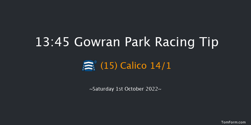 Gowran Park 13:45 Maiden Hurdle 16f Fri 30th Sep 2022