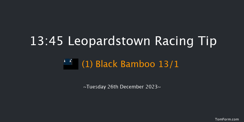 Leopardstown 13:45 Handicap Hurdle 16f Sun 22nd Oct 2023