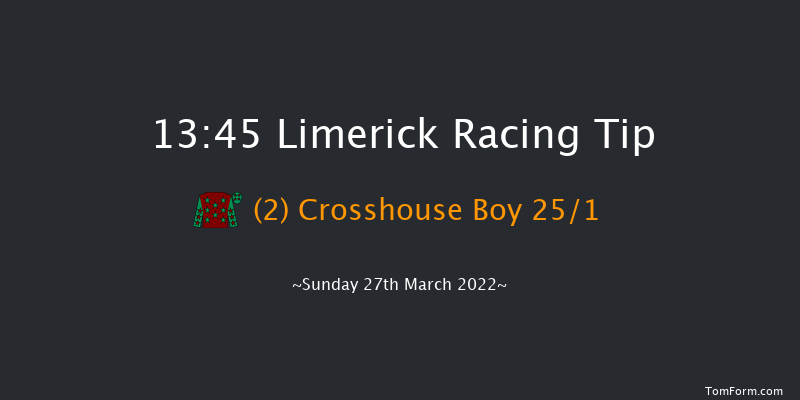 Limerick 13:45 Maiden Hurdle 19f Sun 13th Mar 2022