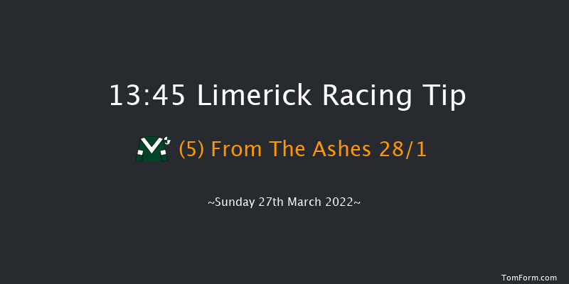 Limerick 13:45 Maiden Hurdle 19f Sun 13th Mar 2022