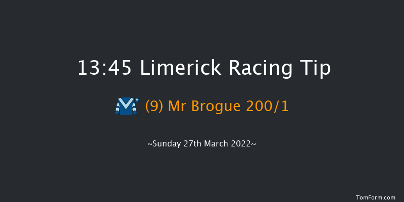 Limerick 13:45 Maiden Hurdle 19f Sun 13th Mar 2022