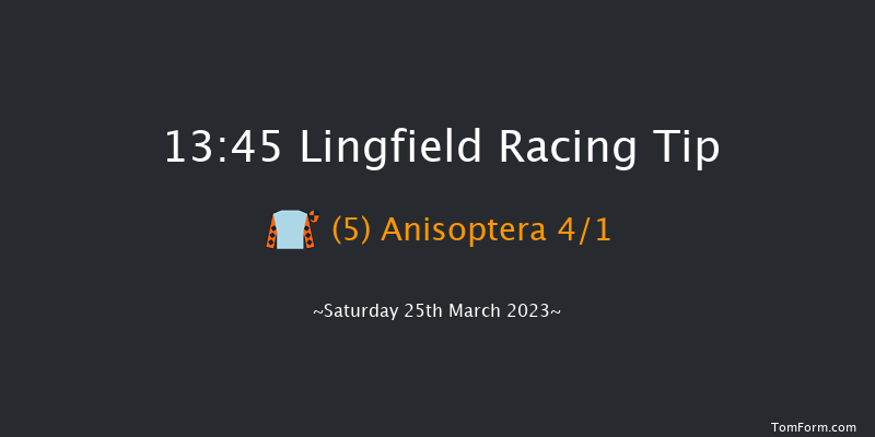 Lingfield 13:45 Handicap (Class 6) 12f Wed 8th Mar 2023