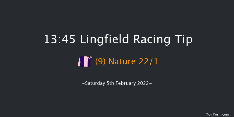 Lingfield 13:45 Stakes (Class 5) 12f Fri 4th Feb 2022