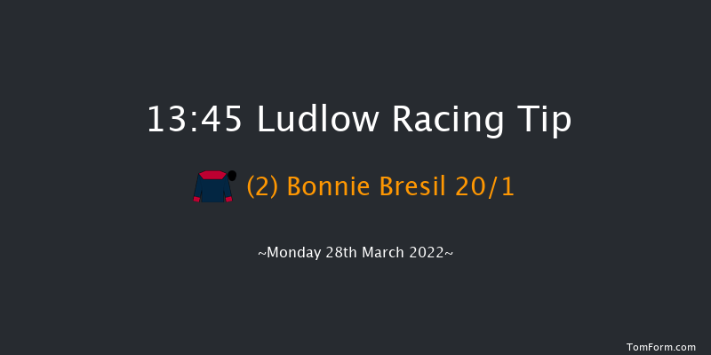 Ludlow 13:45 Novices Hurdle (Class 4) 16f Wed 23rd Mar 2022