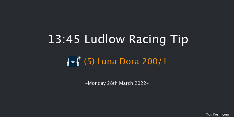 Ludlow 13:45 Novices Hurdle (Class 4) 16f Wed 23rd Mar 2022