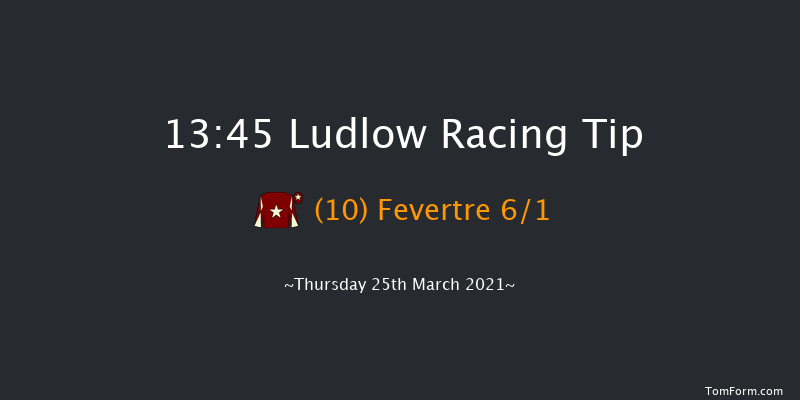 Lets Beat This Together Handicap Hurdle Ludlow 13:45 Handicap Hurdle (Class 4) 21f Thu 4th Mar 2021