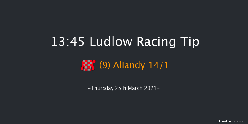 Lets Beat This Together Handicap Hurdle Ludlow 13:45 Handicap Hurdle (Class 4) 21f Thu 4th Mar 2021