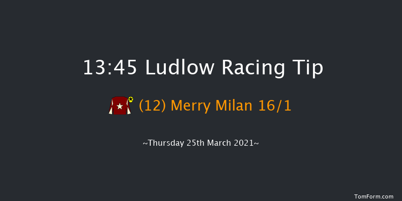 Lets Beat This Together Handicap Hurdle Ludlow 13:45 Handicap Hurdle (Class 4) 21f Thu 4th Mar 2021