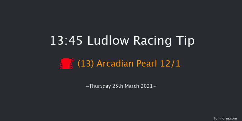 Lets Beat This Together Handicap Hurdle Ludlow 13:45 Handicap Hurdle (Class 4) 21f Thu 4th Mar 2021