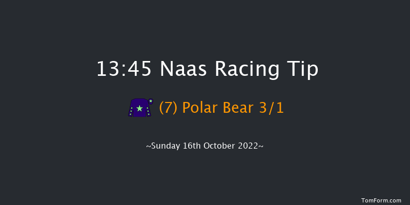 Naas 13:45 Maiden 6f Thu 15th Sep 2022